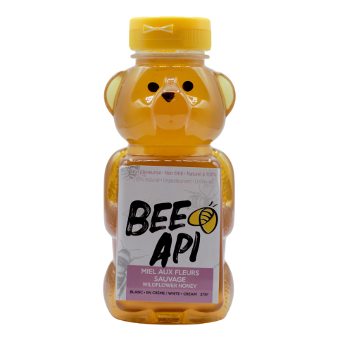 Ours de miel